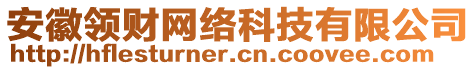 安徽領(lǐng)財(cái)網(wǎng)絡(luò)科技有限公司