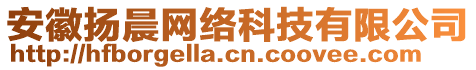 安徽揚晨網(wǎng)絡(luò)科技有限公司