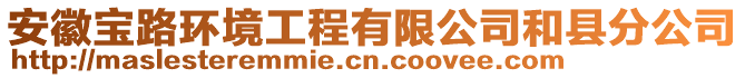 安徽寶路環(huán)境工程有限公司和縣分公司