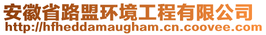 安徽省路盟環(huán)境工程有限公司