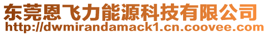 東莞恩飛力能源科技有限公司