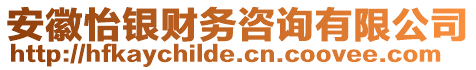 安徽怡銀財務咨詢有限公司