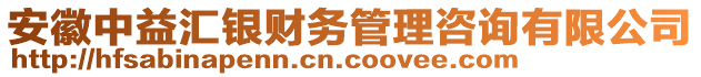 安徽中益匯銀財(cái)務(wù)管理咨詢有限公司