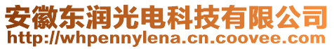 安徽東潤(rùn)光電科技有限公司