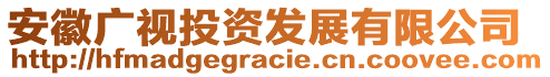 安徽廣視投資發(fā)展有限公司