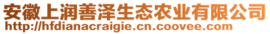 安徽上潤善澤生態(tài)農(nóng)業(yè)有限公司