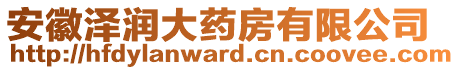 安徽澤潤大藥房有限公司