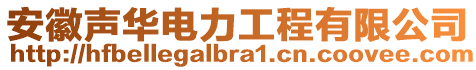 安徽聲華電力工程有限公司