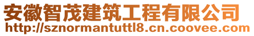 安徽智茂建筑工程有限公司