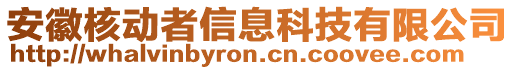 安徽核動者信息科技有限公司