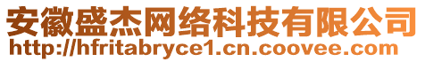 安徽盛杰網(wǎng)絡(luò)科技有限公司