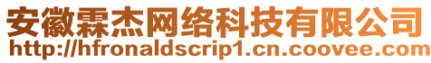 安徽霖杰網(wǎng)絡(luò)科技有限公司