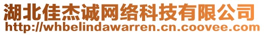 湖北佳杰誠網絡科技有限公司