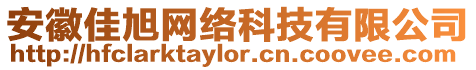 安徽佳旭網(wǎng)絡(luò)科技有限公司