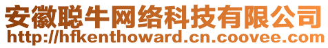 安徽聰牛網(wǎng)絡(luò)科技有限公司