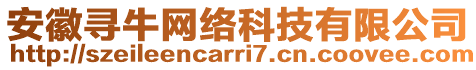 安徽尋牛網(wǎng)絡科技有限公司