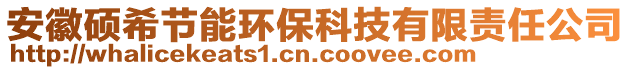 安徽碩希節(jié)能環(huán)保科技有限責(zé)任公司