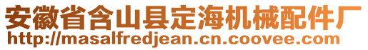 安徽省含山縣定海機(jī)械配件廠