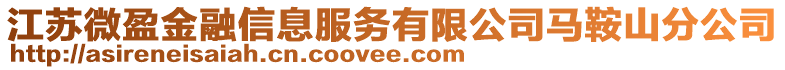 江蘇微盈金融信息服務(wù)有限公司馬鞍山分公司