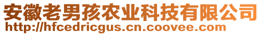 安徽老男孩農(nóng)業(yè)科技有限公司