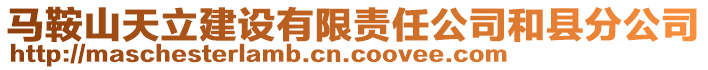 馬鞍山天立建設有限責任公司和縣分公司