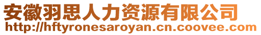 安徽羽思人力資源有限公司