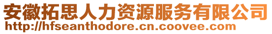 安徽拓思人力資源服務(wù)有限公司