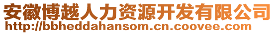 安徽博越人力資源開發(fā)有限公司