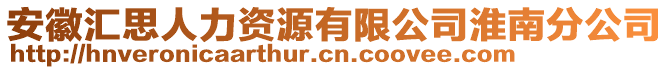 安徽匯思人力資源有限公司淮南分公司