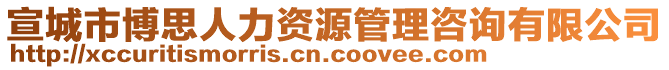 宣城市博思人力資源管理咨詢有限公司