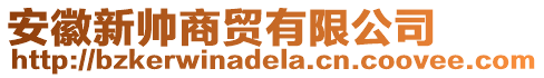 安徽新帥商貿(mào)有限公司