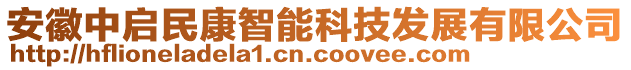 安徽中啟民康智能科技發(fā)展有限公司