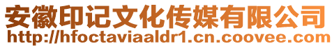 安徽印記文化傳媒有限公司