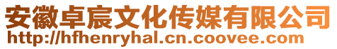 安徽卓宸文化傳媒有限公司