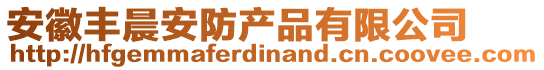 安徽豐晨安防產(chǎn)品有限公司