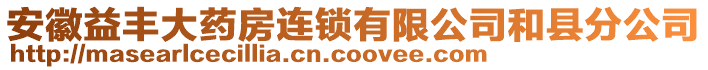 安徽益豐大藥房連鎖有限公司和縣分公司