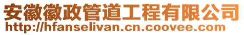 安徽徽政管道工程有限公司