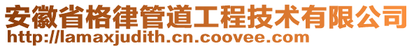 安徽省格律管道工程技術(shù)有限公司