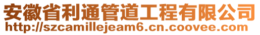 安徽省利通管道工程有限公司