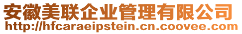 安徽美聯(lián)企業(yè)管理有限公司