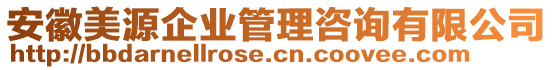 安徽美源企業(yè)管理咨詢有限公司