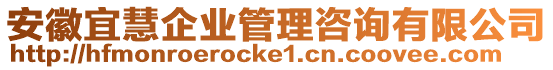 安徽宜慧企業(yè)管理咨詢有限公司