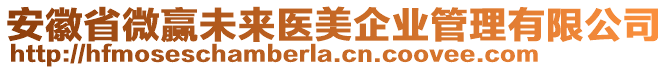 安徽省微贏未來(lái)醫(yī)美企業(yè)管理有限公司