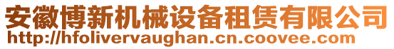 安徽博新機(jī)械設(shè)備租賃有限公司