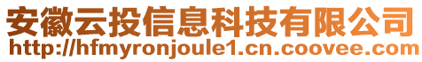 安徽云投信息科技有限公司