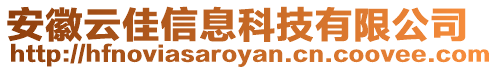 安徽云佳信息科技有限公司