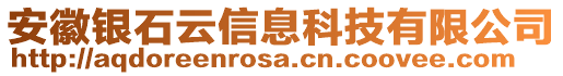 安徽銀石云信息科技有限公司