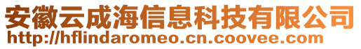 安徽云成海信息科技有限公司