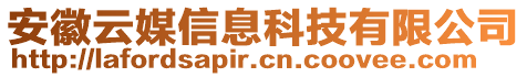 安徽云媒信息科技有限公司