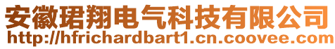 安徽珺翔電氣科技有限公司